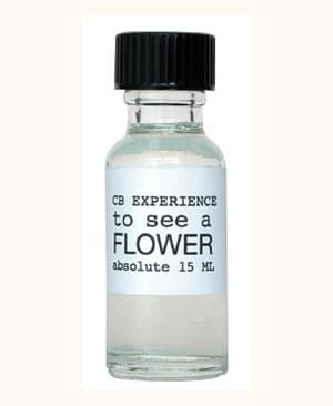 To See A Flower