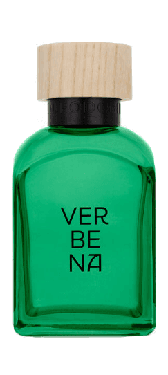 Verbena Hombre