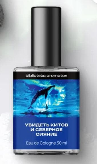 Watching whales and the northern lights (Увидеть китов и северное сияние)